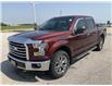 2016 Ford F-150 XLT (Stk: S7437A) in Leamington - Image 9 of 31