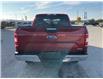 2019 Ford F-150 XLT (Stk: S7496A) in Leamington - Image 6 of 30
