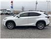 2019 Lexus NX 300 Base (Stk: S11005R) in Leamington - Image 8 of 33