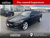 2018 Dodge Charger SXT Plus (Stk: N05489A) in Chatham - Image 1 of 24