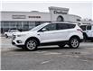 2018 Ford Escape SE (Stk: N05672A) in Chatham - Image 26 of 26