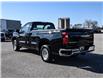 2020 Chevrolet Silverado 1500 Work Truck (Stk: U04997B) in Chatham - Image 3 of 21