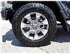 2020 Jeep Wrangler Unlimited Sahara (Stk: N05451B) in Chatham - Image 8 of 27