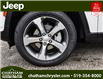 2023 Jeep Grand Cherokee Limited (Stk: N05679) in Chatham - Image 9 of 27