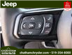 2023 Jeep Wrangler Sport (Stk: N05734) in Chatham - Image 16 of 23