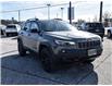 2023 Jeep Cherokee Trailhawk (Stk: N05739) in Chatham - Image 6 of 31