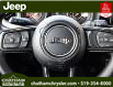 2024 Jeep Wrangler Sport (Stk: RW254036) in Chatham - Image 15 of 23