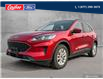 2020 Ford Escape SE (Stk: 22T197A) in Quesnel - Image 1 of 23