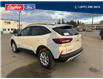 2025 Ford Escape Active (Stk: 25S003) in Quesnel - Image 5 of 19