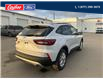 2025 Ford Escape Active (Stk: 25S003) in Quesnel - Image 8 of 19
