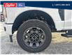 2024 Ford F-350 XL (Stk: 24T112) in Quesnel - Image 7 of 15