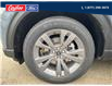2025 Ford Explorer Active (Stk: 25S008) in Quesnel - Image 17 of 17