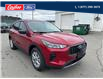 2025 Ford Escape Active (Stk: 25S020) in Quesnel - Image 1 of 18