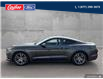 2015 Ford Mustang EcoBoost (Stk: 2015A) in Quesnel - Image 3 of 21