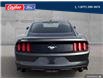 2015 Ford Mustang EcoBoost (Stk: 2015A) in Quesnel - Image 5 of 21