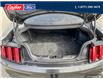 2015 Ford Mustang EcoBoost (Stk: 2015A) in Quesnel - Image 9 of 21