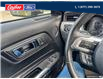 2015 Ford Mustang EcoBoost (Stk: 2015A) in Quesnel - Image 14 of 21