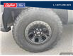 2023 Ford F-150 Raptor (Stk: 25T016A) in Quesnel - Image 6 of 22