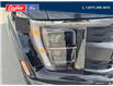 2023 Ford F-150 Raptor (Stk: 25T016A) in Quesnel - Image 9 of 22