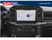 2025 Ford F-150 STX (Stk: W2LB507S1) in Quesnel - Image 7 of 12