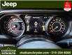 2024 Jeep Wrangler Sport (Stk: N06002) in Chatham - Image 14 of 24