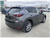 2019 Mazda CX-5  (Stk: UM3079) in Chatham - Image 6 of 25