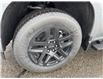 2023 Chevrolet Silverado 1500 Custom (Stk: SI01162) in Tilbury - Image 6 of 16