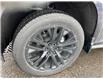 2023 Chevrolet Silverado 1500 High Country (Stk: SI01175) in Tilbury - Image 6 of 16