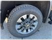 2023 Chevrolet Silverado 2500HD Custom (Stk: SHD01201) in Tilbury - Image 6 of 16