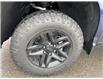 2023 Chevrolet Silverado 1500 LT Trail Boss (Stk: SI01228) in Tilbury - Image 5 of 16