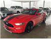 2023 Ford Mustang GT Premium (Stk: SMU7598) in Leamington - Image 1 of 4