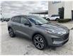 2022 Ford Escape SE (Stk: SEP7524) in Leamington - Image 1 of 5