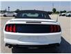 2021 Ford Mustang EcoBoost (Stk: SMU7071) in Leamington - Image 6 of 29