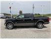 2019 Ford F-150 King Ranch (Stk: S10858A) in Leamington - Image 8 of 29
