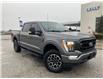 2021 Ford F-150 XLT (Stk: S10975A) in Leamington - Image 1 of 26