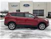 2019 Ford Escape SE (Stk: S29339A) in Leamington - Image 4 of 28