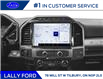 2022 Ford F-250 Platinum (Stk: FF29027) in Tilbury - Image 7 of 9