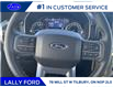 2023 Ford F-150 XLT (Stk: FF29372) in Tilbury - Image 10 of 17