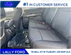 2023 Ford F-150 XLT (Stk: FF29372) in Tilbury - Image 17 of 17