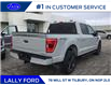2023 Ford F-150 XLT (Stk: FF29503) in Tilbury - Image 3 of 13