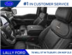2023 Ford F-150 Platinum (Stk: FF29571) in Tilbury - Image 6 of 11
