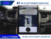 2024 Ford Expedition Platinum (Stk: ED30057) in Tilbury - Image 18 of 22