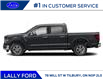 2025 Ford F-150 XLT (Stk: LFFF00703) in Tilbury - Image 2 of 12