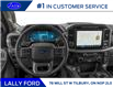 2025 Ford F-150 XLT (Stk: LFFF00703) in Tilbury - Image 4 of 12