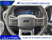 2025 Ford F-150 XLT (Stk: LFFF00265) in Tilbury - Image 11 of 15