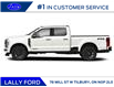 2025 Ford F-250 Platinum (Stk: LFFF00938) in Tilbury - Image 2 of 12