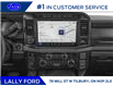 2025 Ford F-250 Platinum (Stk: LFFF00938) in Tilbury - Image 7 of 12