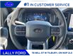 2025 Ford F-150 XLT (Stk: LFFF00294) in Tilbury - Image 11 of 15