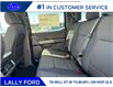 2025 Ford F-150 XLT (Stk: LFFF00294) in Tilbury - Image 15 of 15