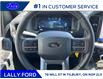 2025 Ford F-150 XLT (Stk: LFFF00275) in Tilbury - Image 11 of 15